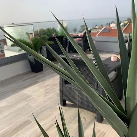 בית הארחה Helena Amber