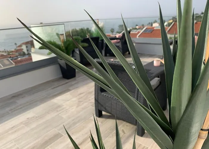 招待所 Helena Amber