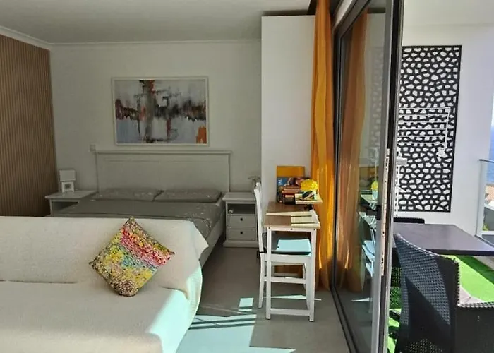 Helena Amber 招待所