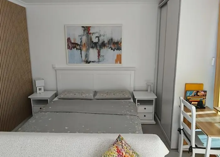 Helena Amber 招待所 3*