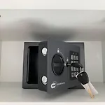 Helena Amber Penzion