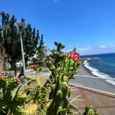 Гостевой дом Helena Amber