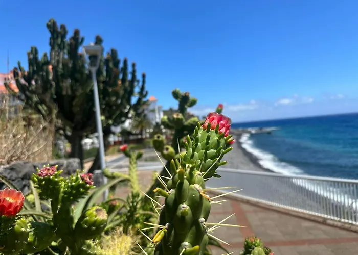 Penzion Helena Amber