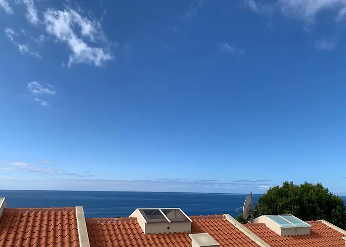 Helena Amber Penzion